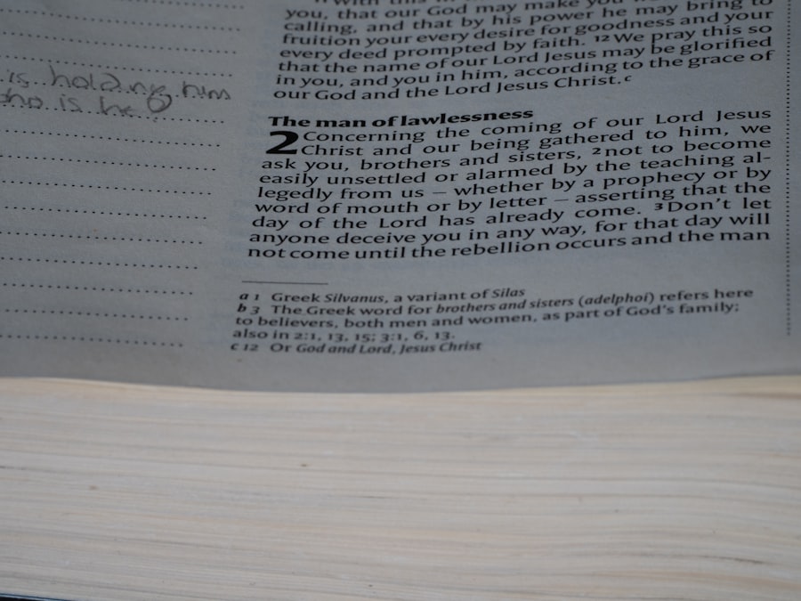 Photo Contract Clauses